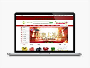 遠豐電商集團 專業電子商務服務提供商的成功之路